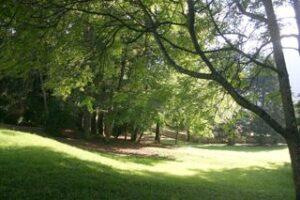 L'Albarande, chambres d'hôtes, parc