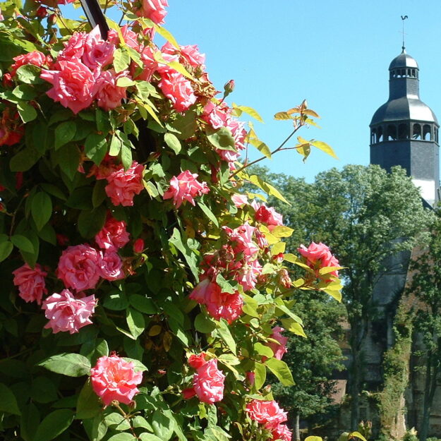 Domaine de l'Abbaye de Thiron-Gardais