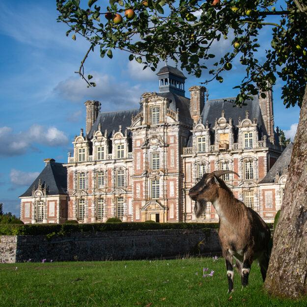 Château de Beaumesnil