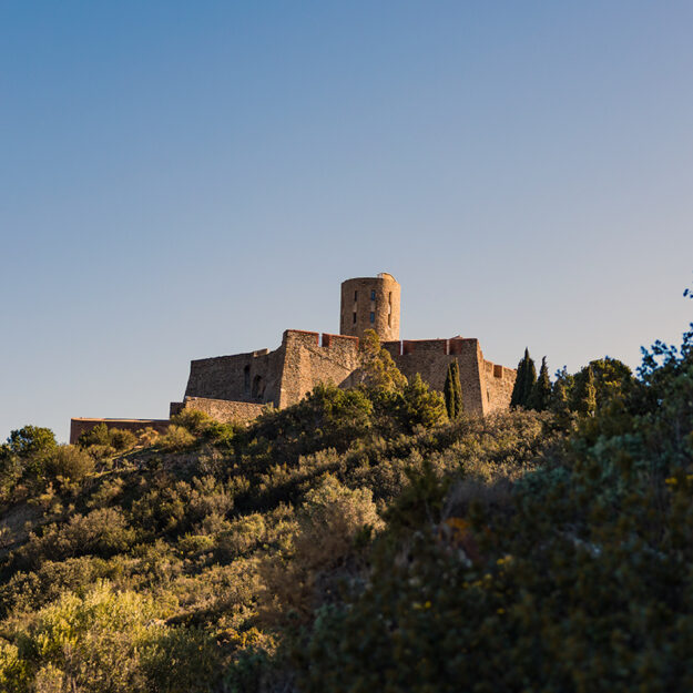 Fort Saint-Elme