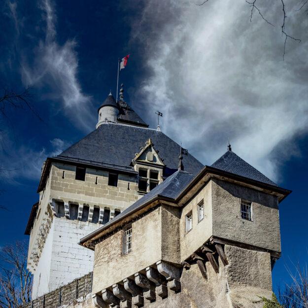 Château des Ducs de Savoie - Chambéry