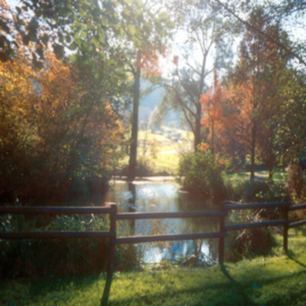 Jardin botanique du Montet