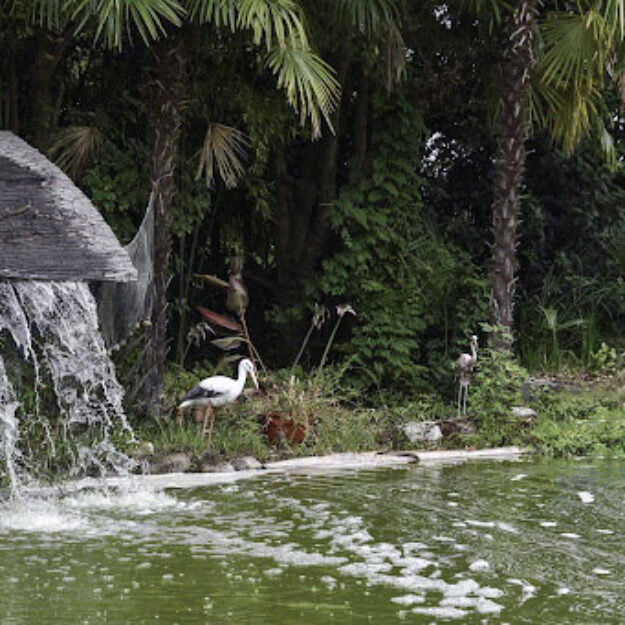 Jardin Exotique de Ponteilla