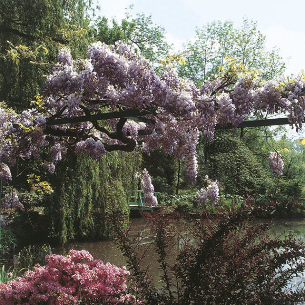 Maisons et Jardins Claude Monet - Giverny