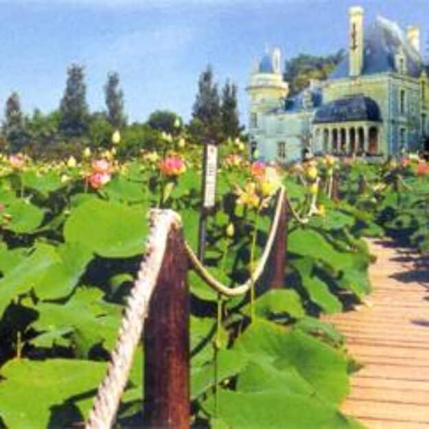 Parc floral et tropical de la Court d'Aron