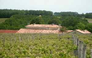 Le Domaine des collinauds, vu des vignes