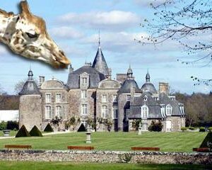 Day at the Castle & Zoological Park