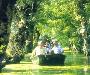 Flat-bottom boat tour