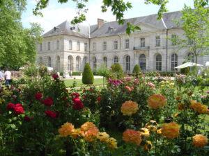 Roseraie des jardins de l'Abbaye Royale de Chaalis