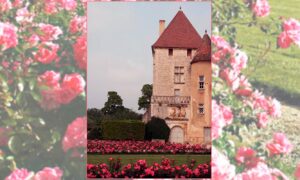 Visite parc et jardin