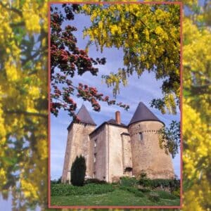 Castle Tour