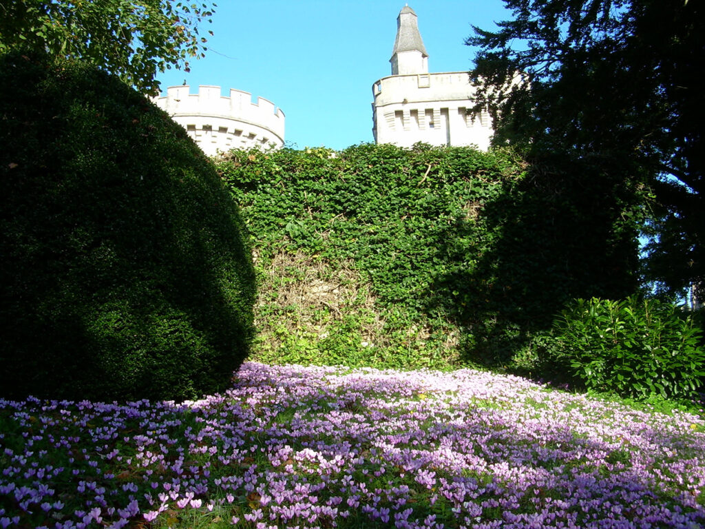 1000 raisons de découvrir le Royaume des étangs de Brenne 9 chateau de chateau guillaume buis parterre fleurs mauves