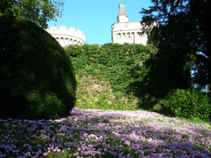Image du château