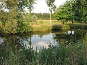 Rives de l'Oudon Europe, Centre, France, Mayenne, Bretagne, Normandie, Visites Parc et jardin du château de Craon