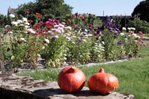 Les Potimarrons Europe, Centre, France, Mayenne, Bretagne, Normandie, Visites Parc et jardin du château de Craon