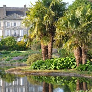 Visit to the park and garden