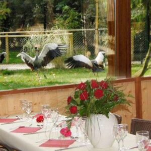 Pleugueneuc, Ile-et-vilaine, Bretagne, France, Europe, Restaurant la Palmeraie zoo-chateau de la Bourbansaie