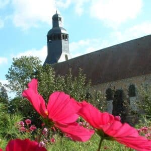 Poppies, Gardens of Thiron Gardais Abbey