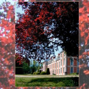 Visit to the park and garden