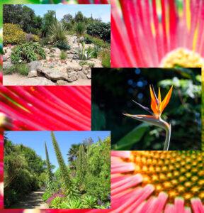 Visite parc et jardin