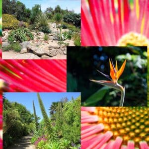 Visits to the Roscoff Botanical Garden and Park, Finistère, Brittany, France, Europe