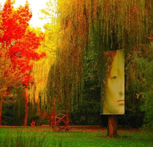 Toile géante dans le parc Visites Parc et jardin au Château du Clos Lucé - Parc Leonardo da Vinci en Val de Loire, France, Europe