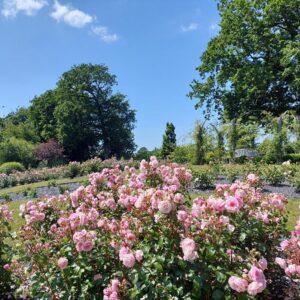 Visit to the park and garden