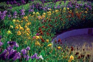 Parc et Château de la Foltière, Jardin de Cnossos