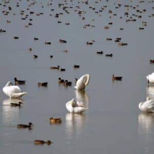 Visit to the Nature Reserve