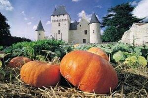 Image du château