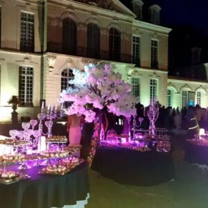 Receptions at the Castle