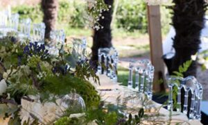 Réceptions au Domaine