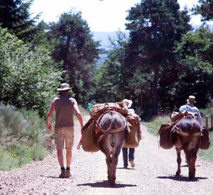 Séminaires au Château de Saint-Jean-du-Gard, randonnées