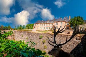 Location exclusive Château d'Ardenay