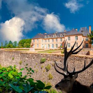 Location exclusive Château d'Ardenay