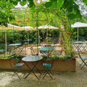 Le Comptoir des Tilleuls