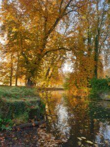 Parc et jardin