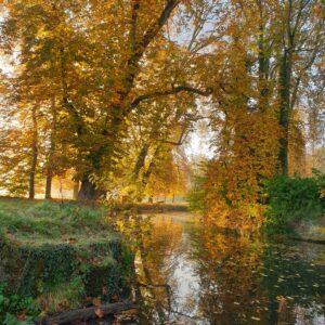 Preisch and River Castle Park and Gardens