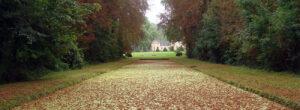 château du Saussay vu d'une allée du parc