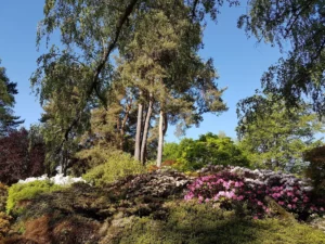 Visite du Parc et des Jardins