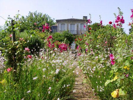 Graines introuvables et boutures offertes à Mongenan pour les Rendez-vous aux jardins 2026 2 mongenan ete