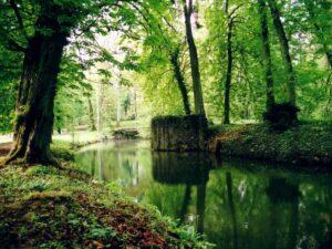 Motte féodale Domaine de Preisch, Gite location saisonnière, BASSE RENTGEN, France, Moselle