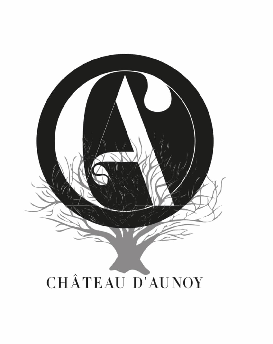 Château d'Aunoy